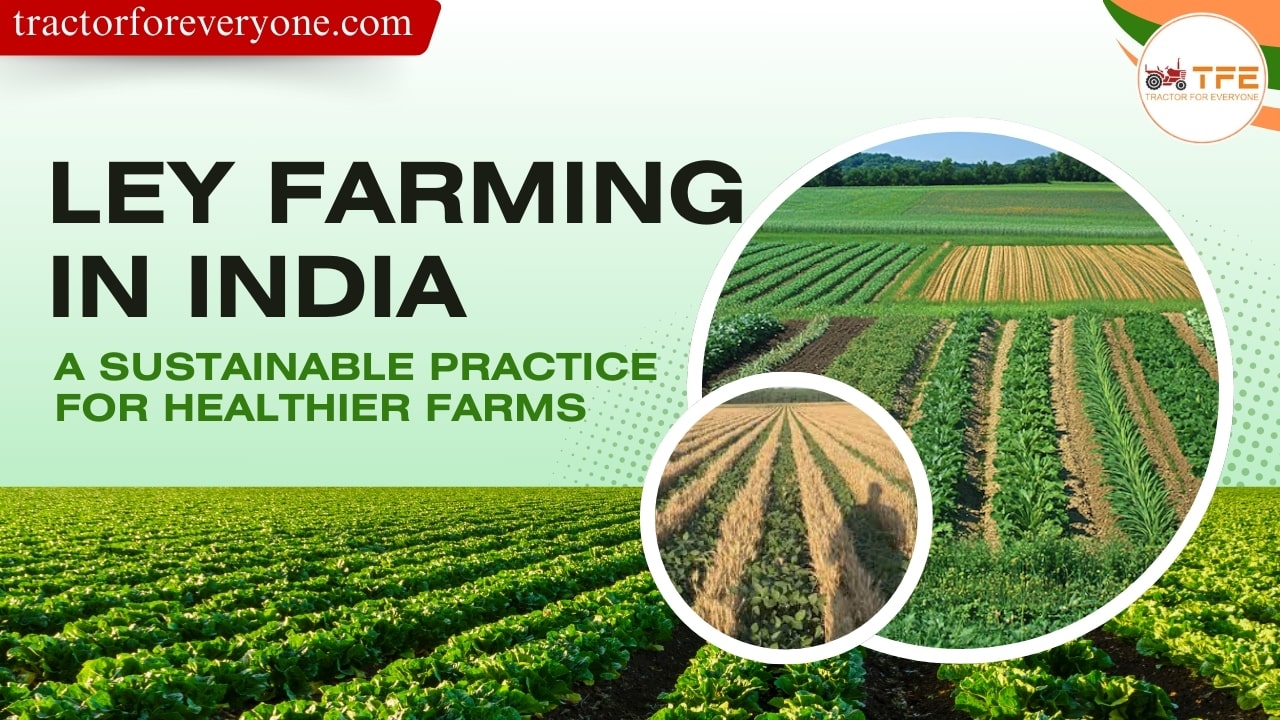 https://tractorforeveryone.com/uploads/blog/1733578793_Ley_Farming_in_India.jpg