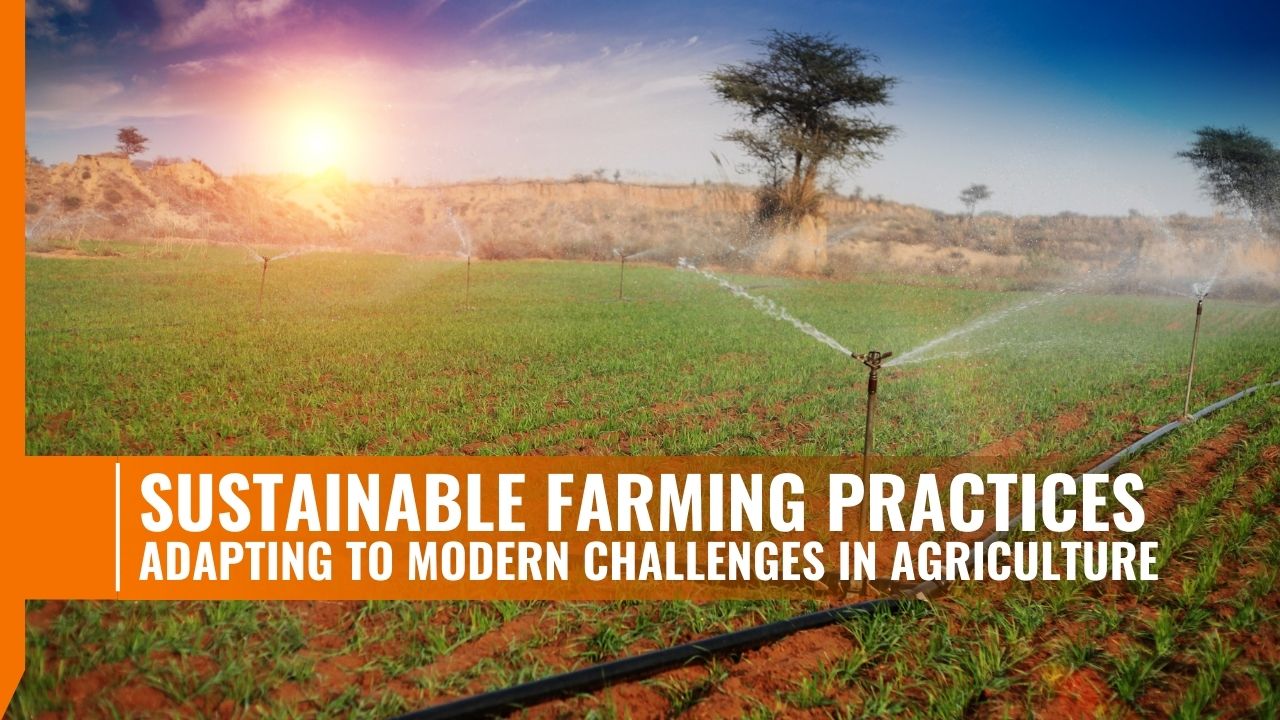 https://tractorforeveryone.com/uploads/blog/1734076850_Sustainable_Farming_Practices_Adapting_to_Modern_Challenges_in_Agriculture.jpg