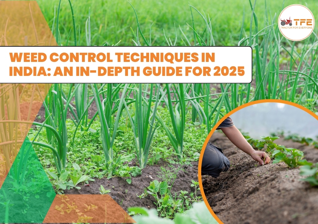 https://tractorforeveryone.com/uploads/blog/1739279882_Weed_Control_Techniques_in_India.jpg